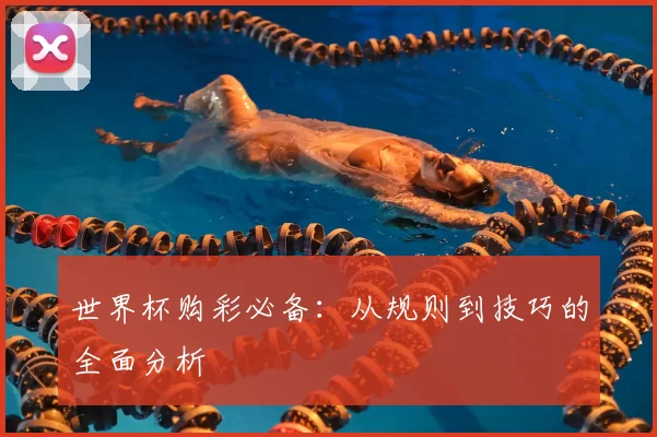 世界杯购彩必备:从规则到技巧的全面分析