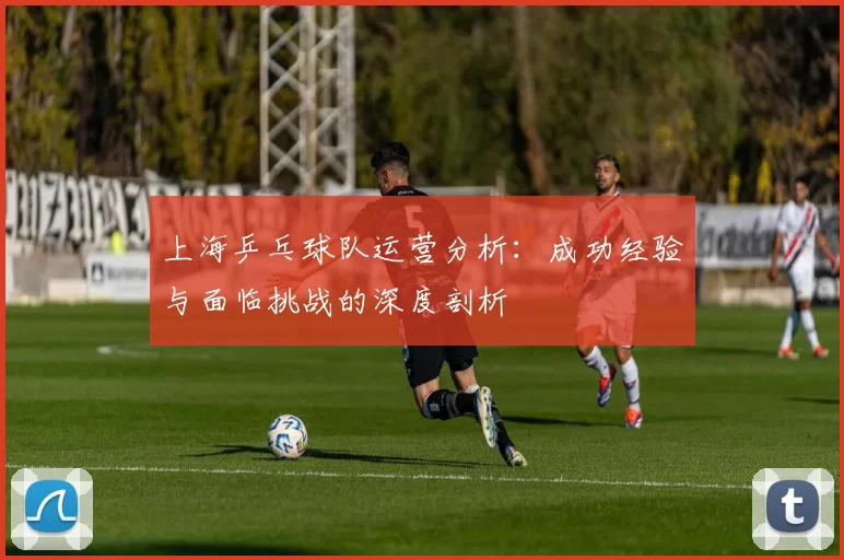 上海乒乓球队运营分析：成功经验与面临挑战的深度剖析