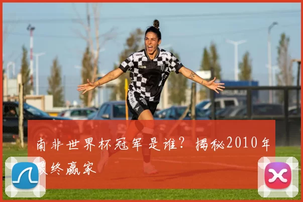 南非世界杯冠军是谁？揭秘2010年最终赢家