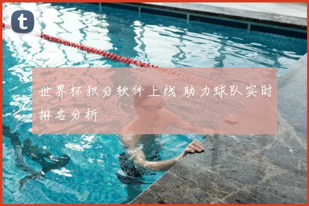 世界杯积分软件上线 助力球队实时排名分析