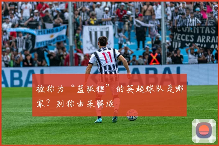 被称为“蓝狐狸”的英超球队是哪家？别称由来解读