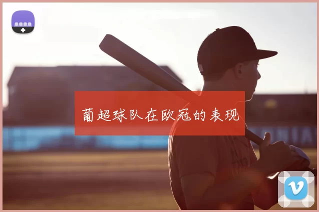 葡超球队在欧冠的表现