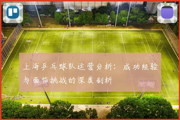 上海乒乓球队运营分析：成功经验与面临挑战的深度剖析