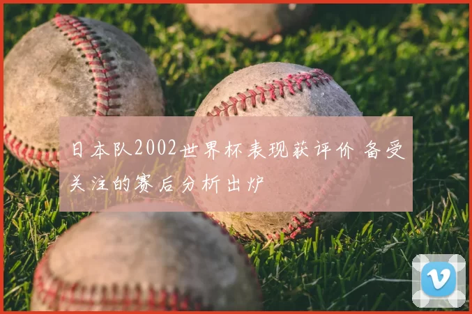 日本队2002世界杯表现获评价 备受关注的赛后分析出炉