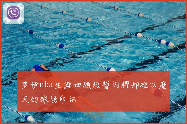 罗伊nba生涯回顾短暂闪耀却难以磨灭的球场印记