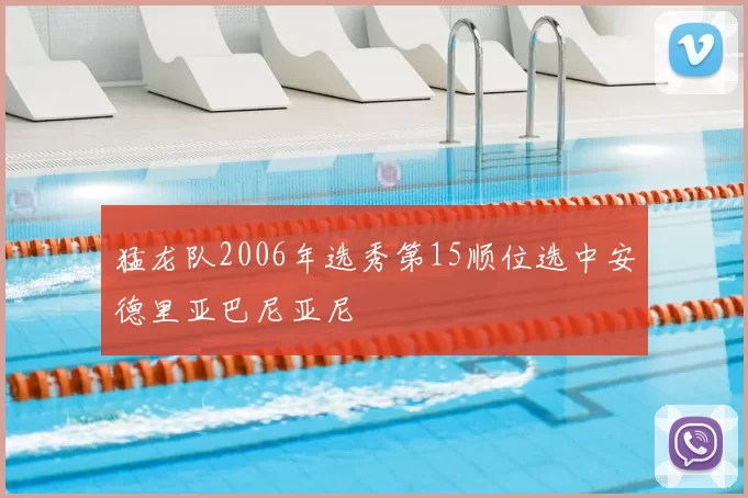 猛龙队2006年选秀第15顺位选中安德里亚巴尼亚尼