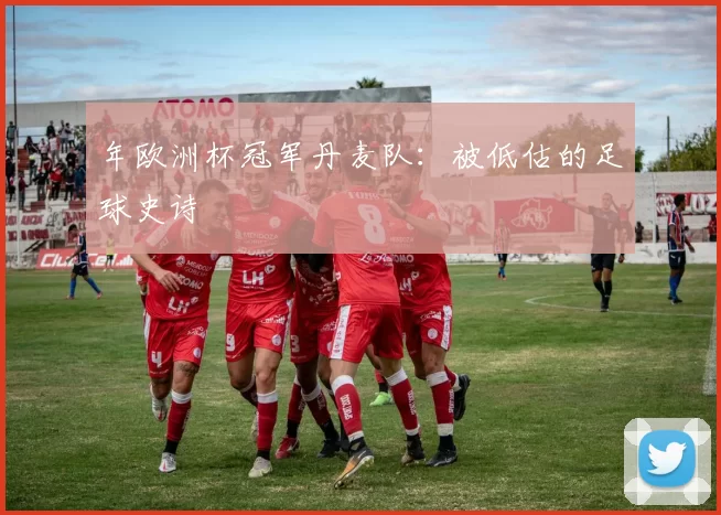 年欧洲杯冠军丹麦队：被低估的足球史诗
