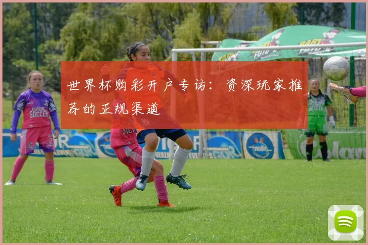 世界杯购彩开户专访:资深玩家推荐的正规渠道