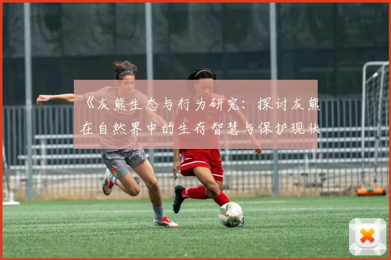 《灰熊生态与行为研究：探讨灰熊在自然界中的生存智慧与保护现状》