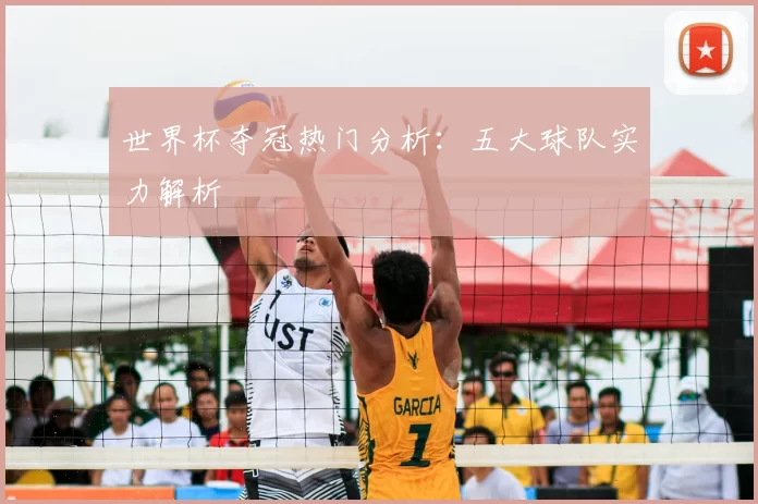 世界杯夺冠热门分析：五大球队实力解析