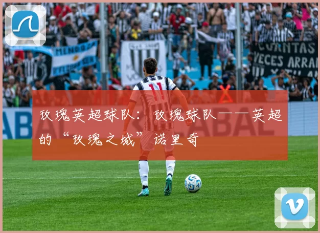 玫瑰英超球队:玫瑰球队——英超的“玫瑰之城”诺里奇