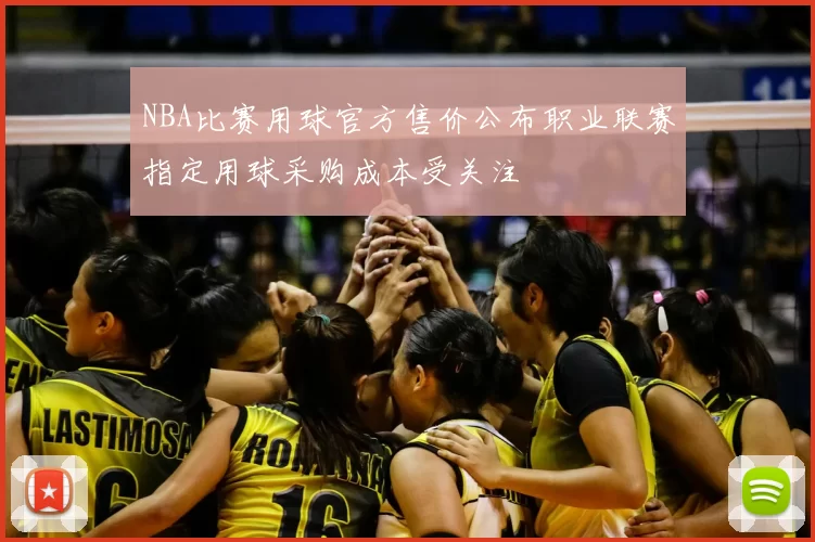 NBA比赛用球官方售价公布职业联赛指定用球采购成本受关注