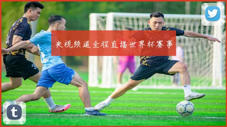 央视频道全程直播世界杯赛事