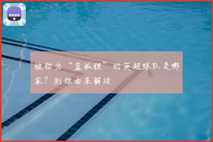 被称为“蓝狐狸”的英超球队是哪家？别称由来解读