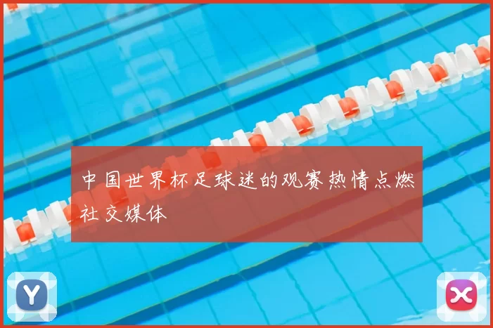 中国世界杯足球迷的观赛热情点燃社交媒体