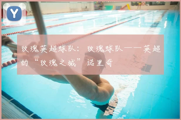 玫瑰英超球队：玫瑰球队——英超的“玫瑰之城”诺里奇