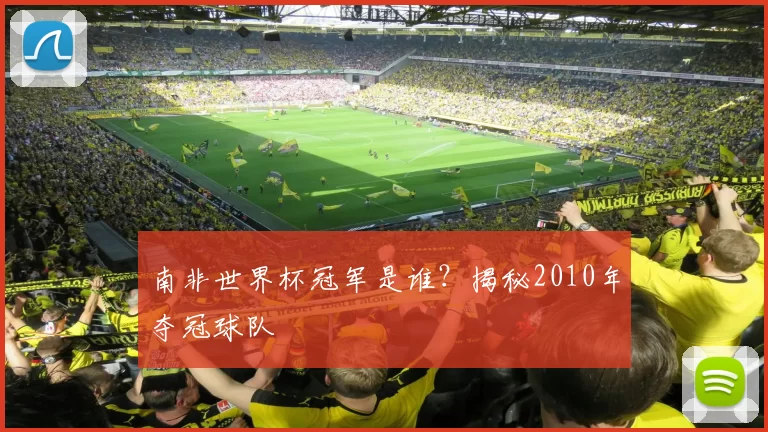 南非世界杯冠军是谁？揭秘2010年夺冠球队