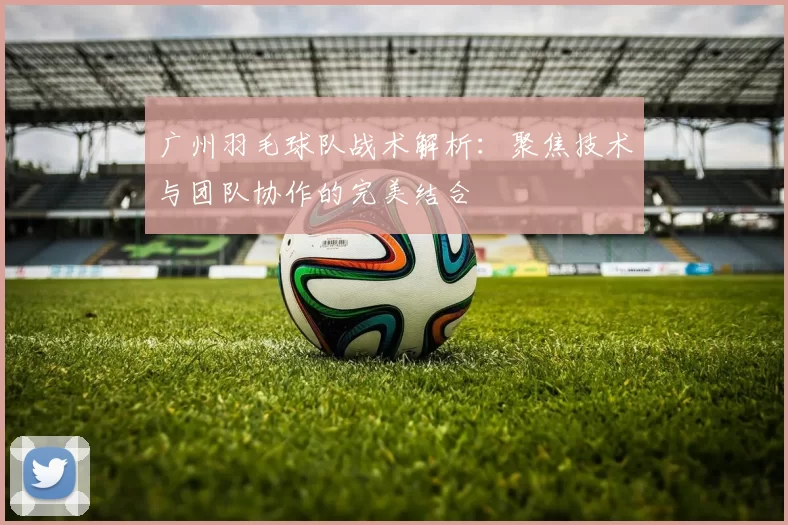 广州羽毛球队战术解析:聚焦技术与团队协作的完美结合