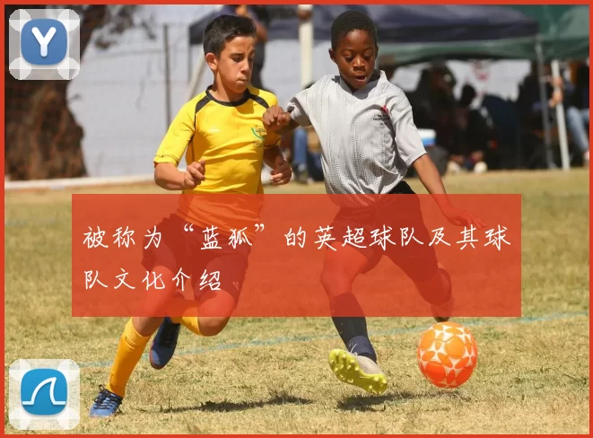 被称为“蓝狐”的英超球队及其球队文化介绍