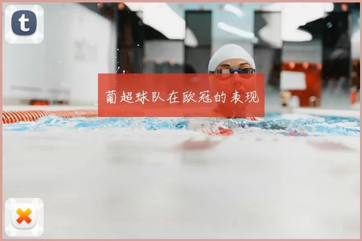 葡超球队在欧冠的表现