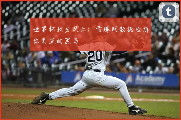 世界杯积分风云：雪缘网数据告诉你真正的黑马