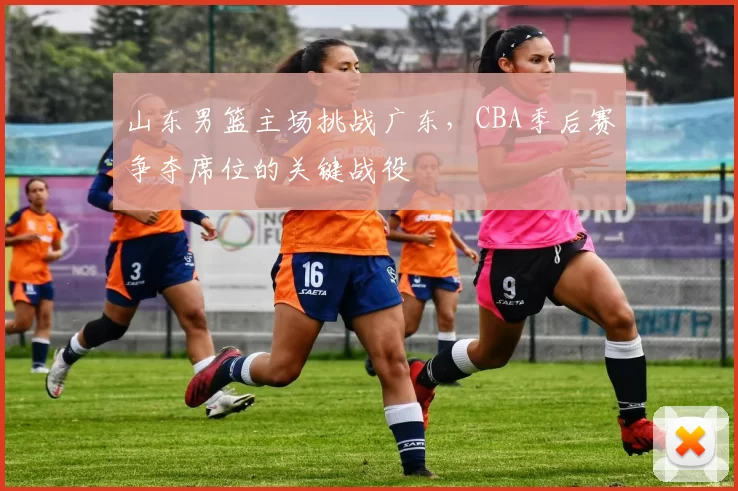 山东男篮主场挑战广东，CBA季后赛争夺席位的关键战役