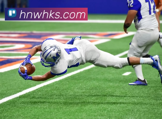 开云app全站App 开云app全站App